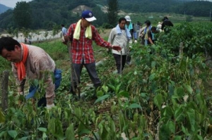 수해복구봉사활동('06.7.25)