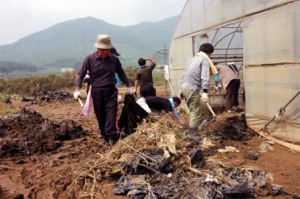 수해복구봉사활동('06.7.25)