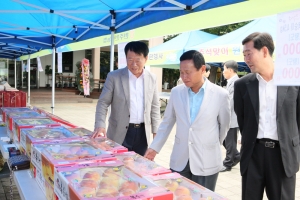 2010.09.14 - 추석맞이 원주시 농축산물 특판행사