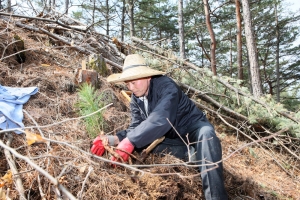 2013.04.03 - 식목일 나무심기 행사
