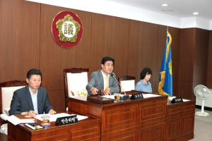 2013.06.10 - 제163회 정례회 예산결산특별위원회