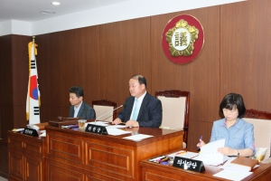 2013.06.10 - 제163회 정례회 보행환경개선특별위원회