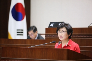 2013.06.28 - 제163회 정례회 제4차 본회의