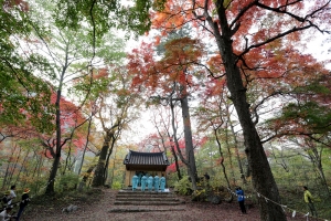 신림 성황림 성황제(2015.10.21.)