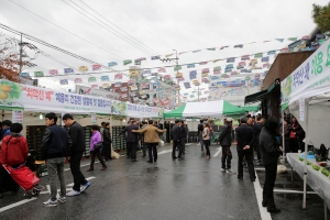 치악산 배 축제(2015.11.07.)