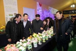 고니골 빛 축제 방문(2016.03.02.)