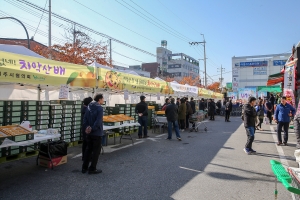 제20회 치악산 배 축제(2018.11.03.)