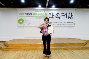 2018 지방의원 매니페스토 약속대상(2019.02.28.)