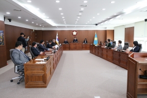 제209회 임시회 제1차 지방분권특별위원회(2019.03.18.)