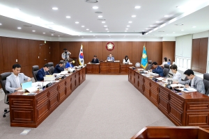 제211회 정례회 제2차 예산결산특별위원회(2019.06.21.)