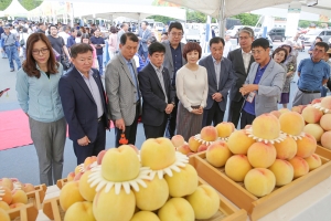 제20회 치악산 복숭아 축제(2019.08.24.)