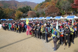 산림문화페스티벌(2019.11.03.)