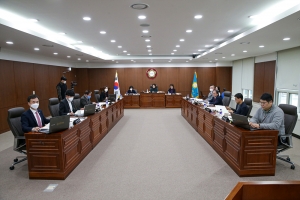 제216회 임시회 제2차 예산결산특별위원회(2020.03.19.)
