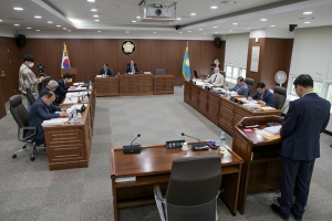 제217회 임시회 제1차 건설도시위원회(2020.05.04.)