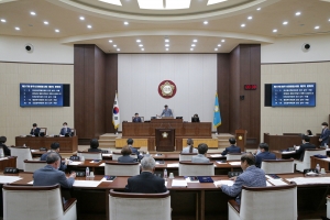 제217회 임시회 제2차 본회의(2020.05.13.)